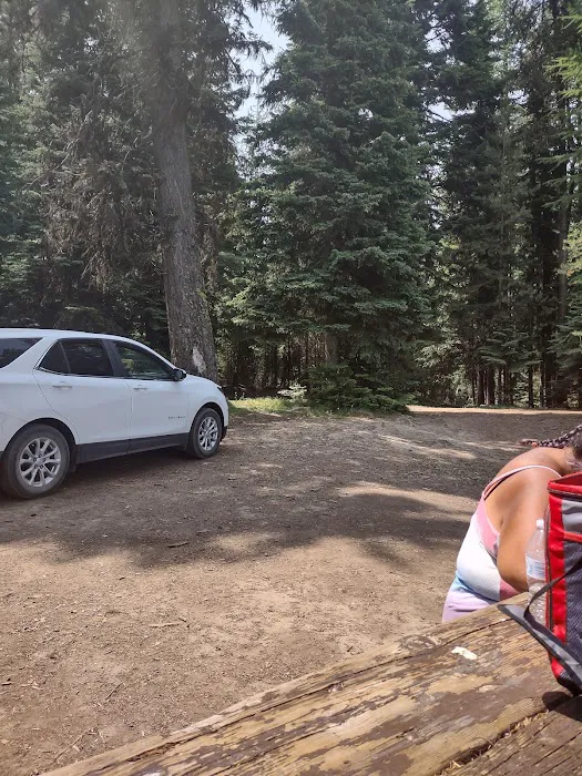 Penland Lake Campground Picture 2