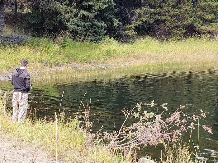 Penland Lake Campground Picture 5