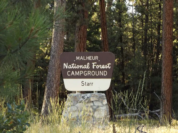 Starr National Forest Campground Picture 2