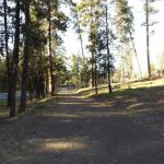 Starr National Forest Campground