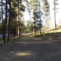 Starr National Forest Campground ico