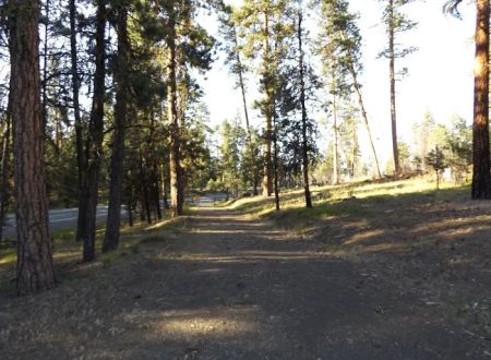 Starr National Forest Campground