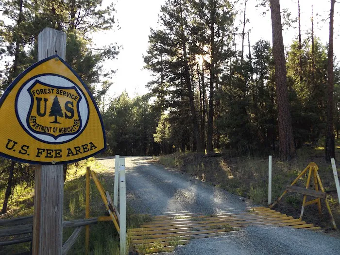 Starr National Forest Campground Picture 3