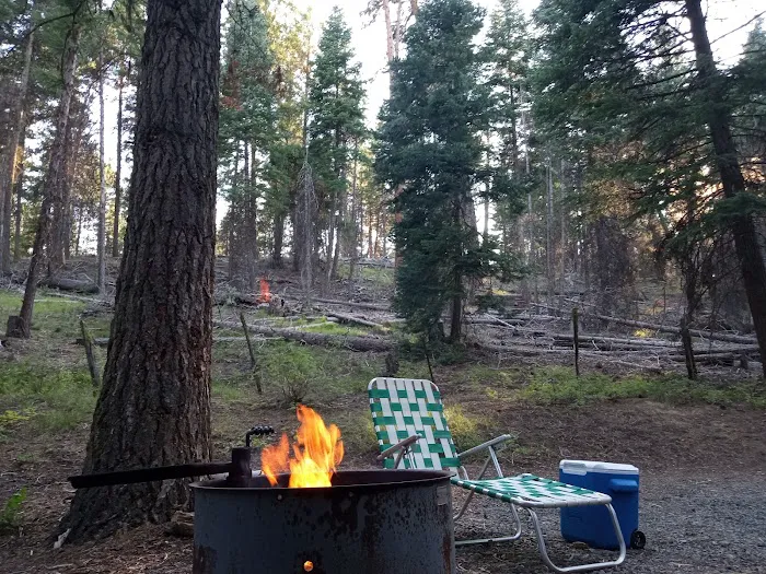 Starr National Forest Campground Picture 7