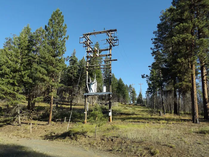 Starr National Forest Campground Picture 4