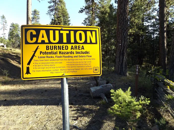 Starr National Forest Campground Picture 10