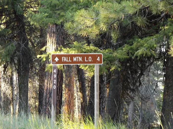 Starr National Forest Campground Picture 6