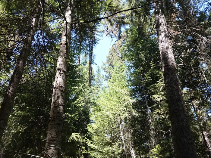 Lolo Creek Campground and Picnic Area Picture 2
