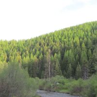 Lolo Creek Campground and Picnic Area ico