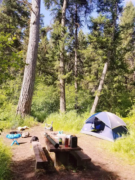Lolo Creek Campground and Picnic Area Picture 9