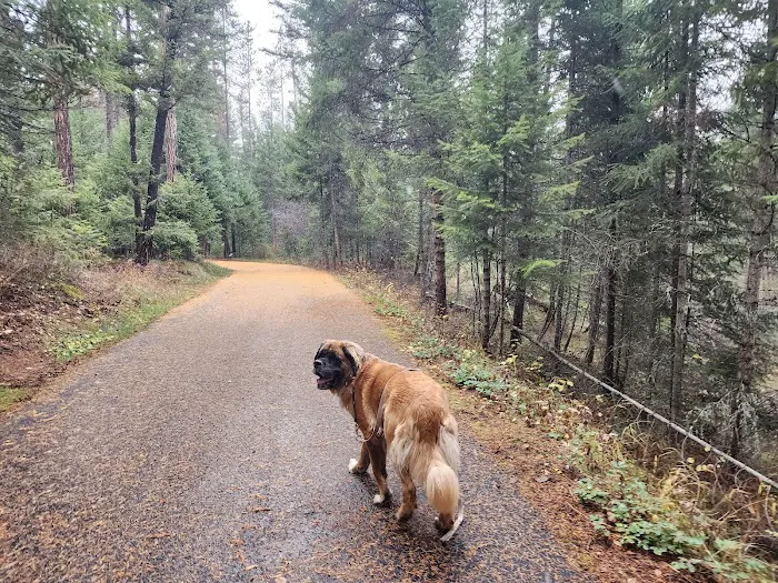 Lolo Creek Campground and Picnic Area Picture 5