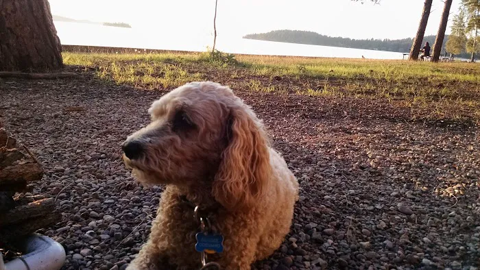 Finley Point Campground Picture 3