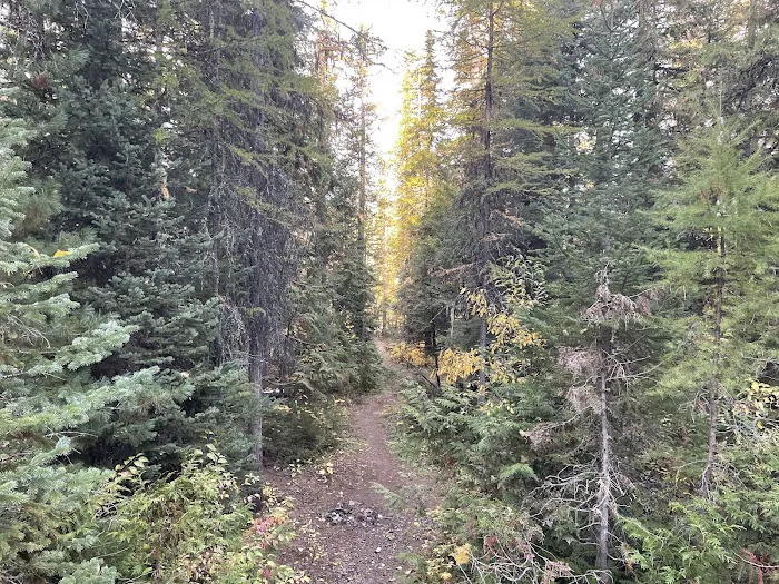 Glacier Rim Picture 3