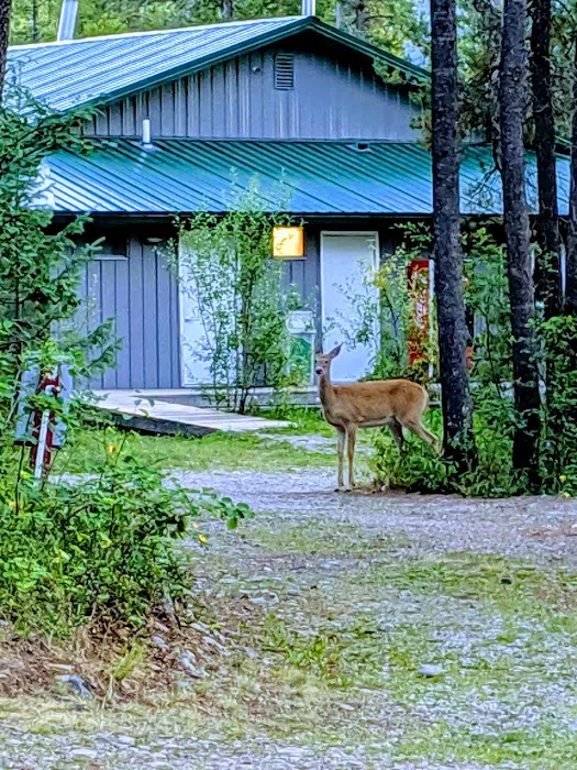Sundance Campground Picture 1