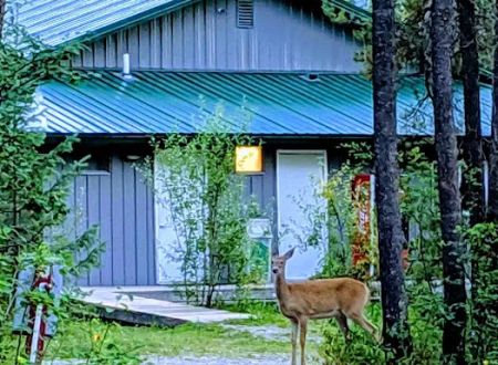 Sundance Campground