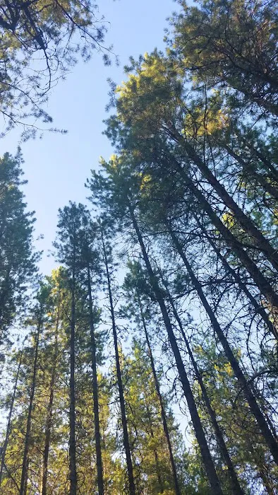 Sundance Campground Picture 3