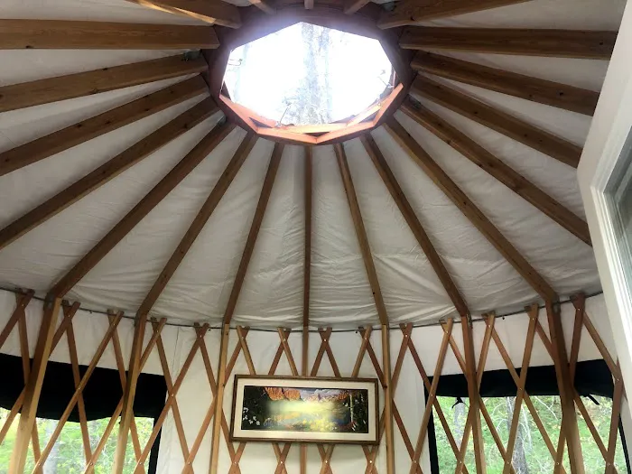 Mooseshroom Yurt Retreat and Campground Picture 2