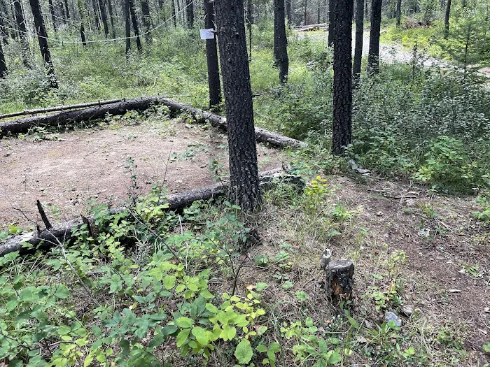 Mooseshroom Yurt Retreat and Campground Picture 5