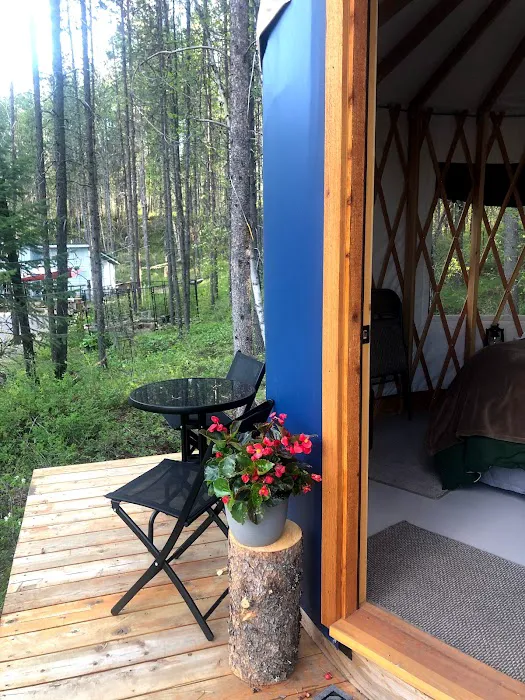 Mooseshroom Yurt Retreat and Campground Picture 1