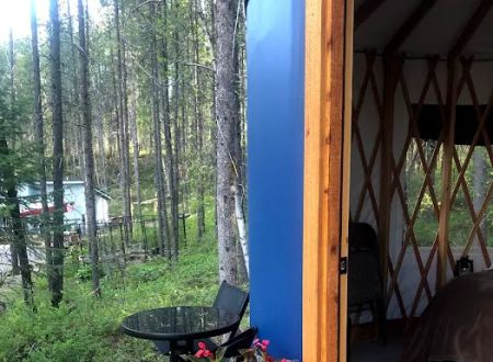 Mooseshroom Yurt Retreat and Campground