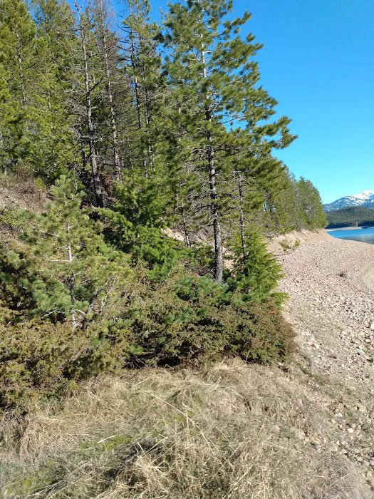 Goose Head Campground Picture 6