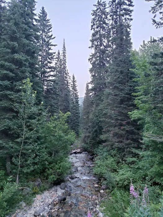 Lid Creek Campground Picture 5