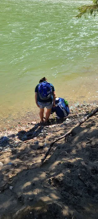 North Fork Flathead River Campground/Boat Landing Picture 3