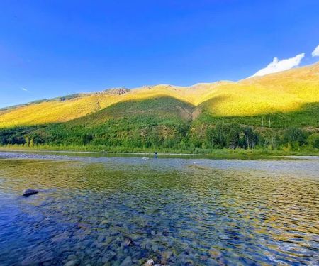 North Fork Flathead River Campground/Boat Landing