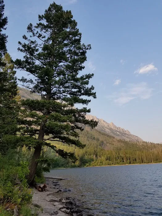 Kintla Lake Head Campground Picture 4