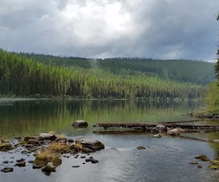 Lower Quartz Lake Campground