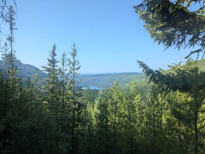 Quartz Lake Campground Picture 4