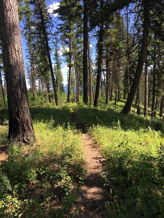 Adair Campground Picture 2