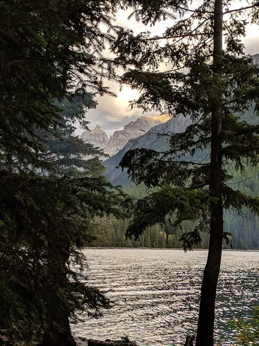 Head Bowman Lake Campground Picture 5
