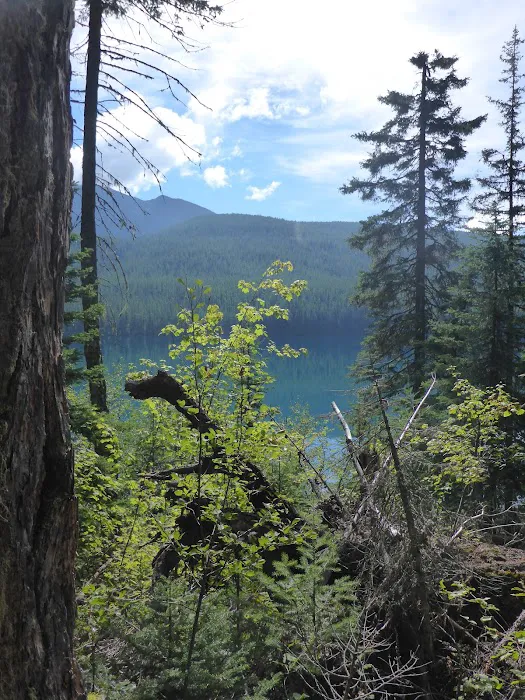 Head Bowman Lake Campground Picture 9