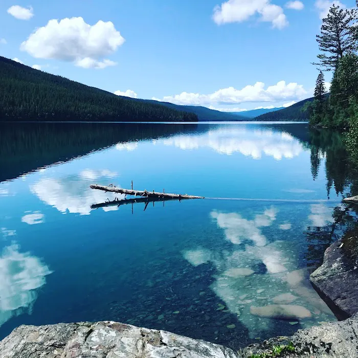 Head Bowman Lake Campground Picture 1