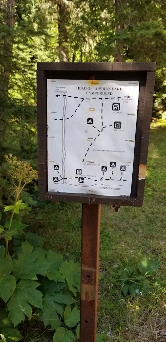 Head Bowman Lake Campground Picture 4