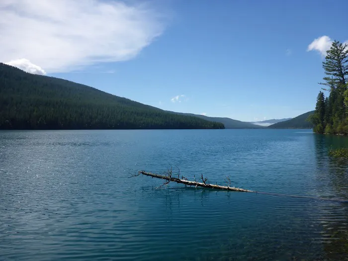 Head Bowman Lake Campground Picture 7