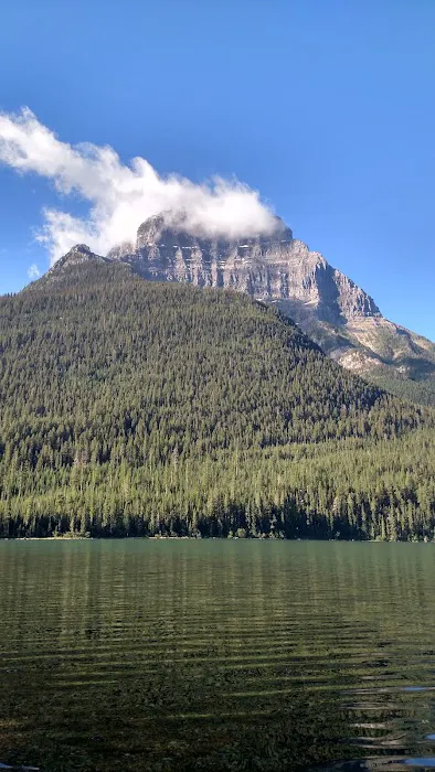Upper Kintla Lake Campground Picture 4