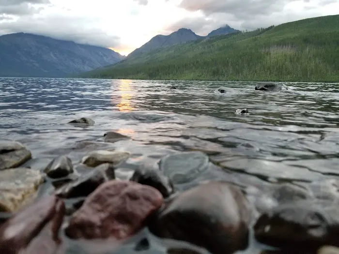 Upper Kintla Lake Campground Picture 9