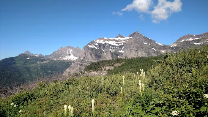 Brown Pass Campground Picture 5