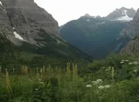 Brown Pass Campground