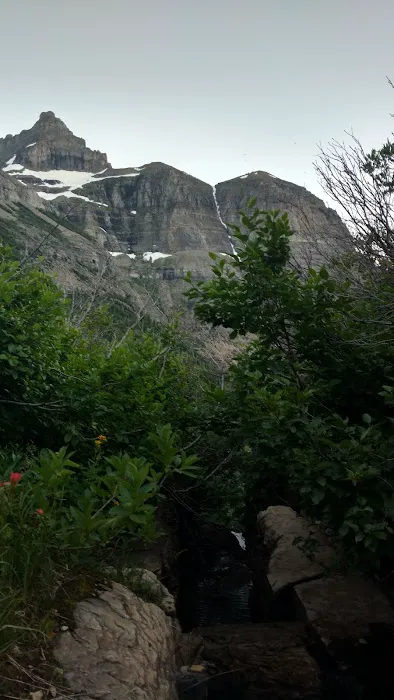 Brown Pass Campground Picture 10