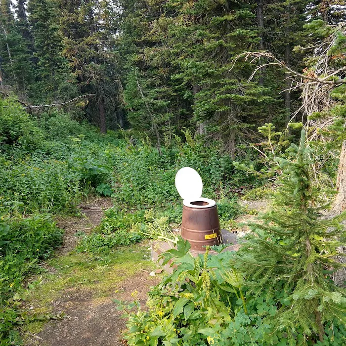 Brown Pass Campground Picture 9