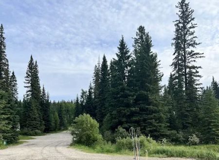Swan Lake Campground