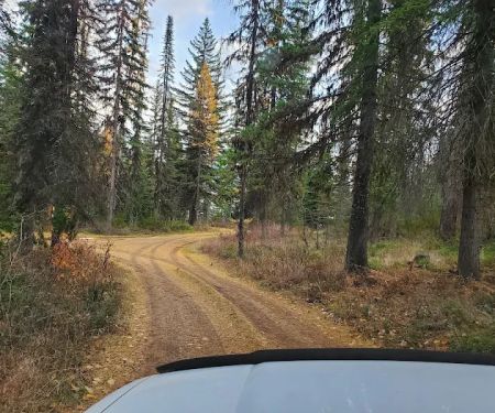 Lakeview Campground
