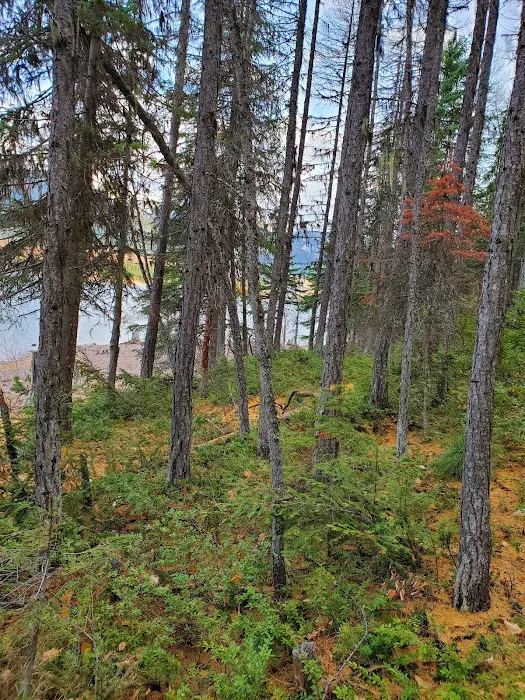 Lakeview Campground Picture 4