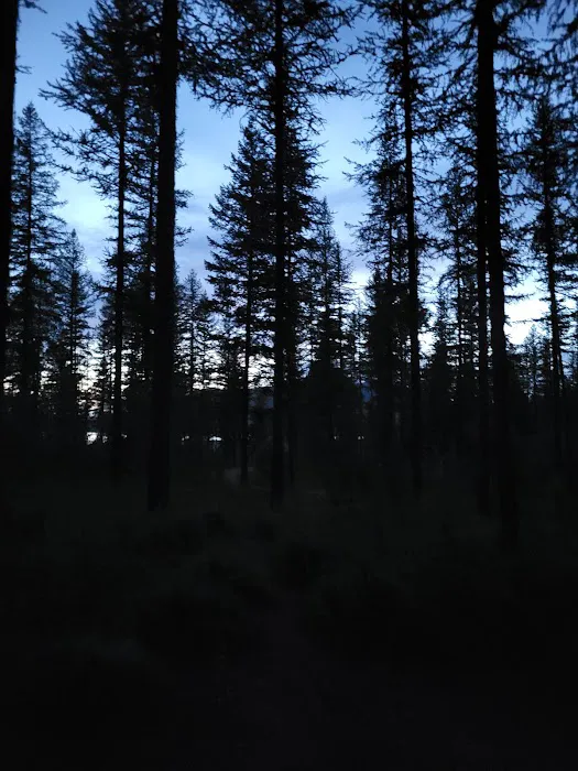 Murray Bay Campground Picture 4
