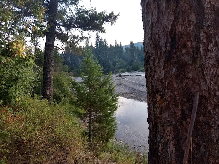 Point Pleasant Campground Picture 4