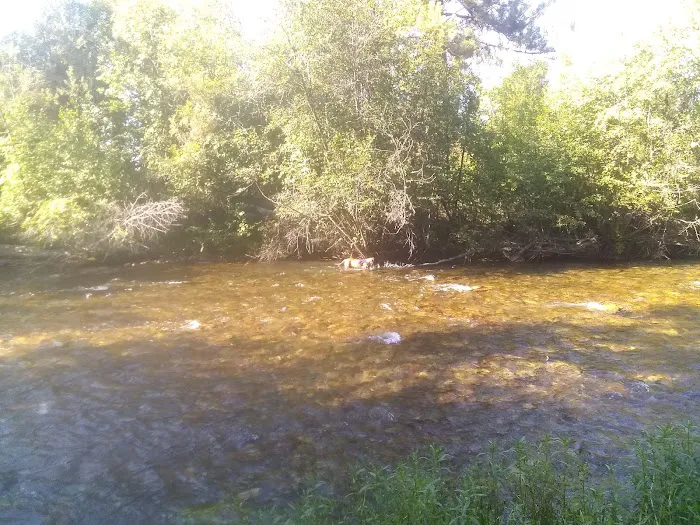 Jocko Hollow Campground Picture 6