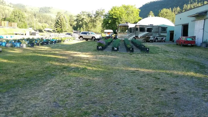 Ravalli Store and Days Rest Campground Picture 6